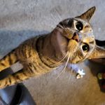 Hannah oakes - @hannahoakes955 - Instagram