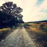 Hannah Odom - @hgo_photography - Instagram