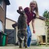 hannahodonnell - @hannahodonnell87 - TikTok