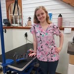 Hannah O'Neal - @doggroomingwhannah - Instagram
