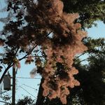 hannah oneal - @hannahbrightfotos - Instagram