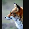 hannahottenrott - @hannahottenrott - TikTok