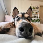 Hannah Osborne - @hannah_pack.rat - Instagram