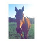 Hannah - @_hannah.paris_ - Instagram