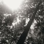 Hannah Perdue - @__itz._.hannah_ - Instagram