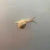 Hannah Perdue - @user762112653 - TikTok