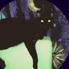 peyton - @peytonhannahh29 - TikTok