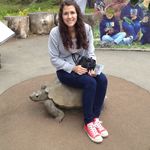 Hannah Pinelli - @hanban975 - Instagram