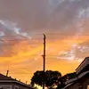 Hannah⚘ - @pippin.hannah - TikTok