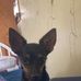 Hannah Proffitt - Facebook