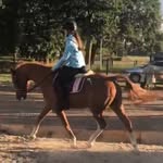 Hannah Redlich💖 - @hsv.dressage - Instagram