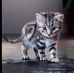 Hannah Reimer - Facebook