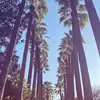 𝓗𝓪𝓷𝓷𝓪𝓱🫧 - @hannahrenapetterway - TikTok