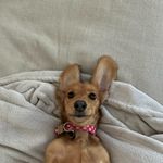 Hannah - @hannahreydouglas - Instagram