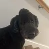 Hannah Rios - @hjrios22 - TikTok