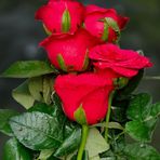 Hannah Rivas - Facebook