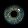 hanna._hro - @hanna._hro - TikTok