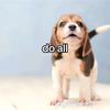 Hannah Rollins - @hannah.rollins5 - TikTok