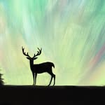 Hannah Rowan Art - @arttanksd - Instagram