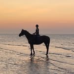 Hannah 🤍 - @hannah_rust.eq - Instagram
