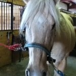 Hannah Samuelson - @hannahsam2468 - Instagram