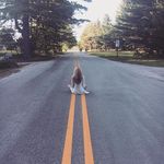 Hannah Schaffer - @schafferhannah - Instagram