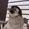 Hannahschaffer - @hannahschafferr - TikTok