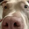 Hanna.semmler - @hanna.semmler - TikTok