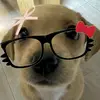 Hannah Serrano - @hannah.serrano5 - TikTok