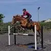 Hannah Seward - @hannah.seward3 - TikTok