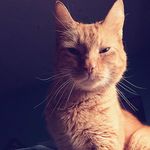 hannah Shane - @ha_na_na_ba_na_na - Instagram