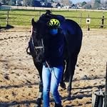 Hannah Sievert - @hannah_sam_nelly - Instagram