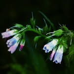 @hannahsimondsphotography2020 - Instagram