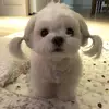 Hannah - @.hannahskyee - TikTok