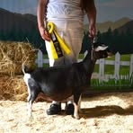 Hannah Skye Eustis - Facebook