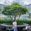 hannah Son - @hannahson116 - TikTok