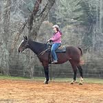 Hannah Wise Speck - @hannah.w.speck - Instagram