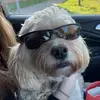 hannah🤪 - @hannahstephen_2 - TikTok