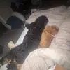 hannah.stephen25 - @hannah.stephen25 - TikTok