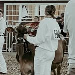 Hannahstroud - @hannahstroud42 - Instagram