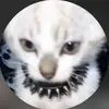 han - @hannahsuckz123 - TikTok