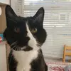 hannahtemple23 - @hannahtemple233 - TikTok