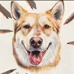 Pet Portraits - Hannah Tillett - @hannahtillett.art - Instagram
