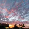 Hannah Torrez956 - @hannahtorrez956 - TikTok