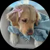 𝐡𝐚𝐧𝐬 - @hannahtradesyou - TikTok