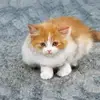 hannahtrader - @hannahtrader8 - TikTok