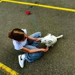 Hannah.Straub - @straub.hannah2009 - Instagram