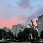 SingularXYZ.Hannah.Tsui - @hannah.tsui888 - Instagram