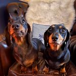 Hannah Tyson - @leeandhans_ - Instagram