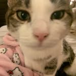 Hannah - @hannahusry11 - Instagram